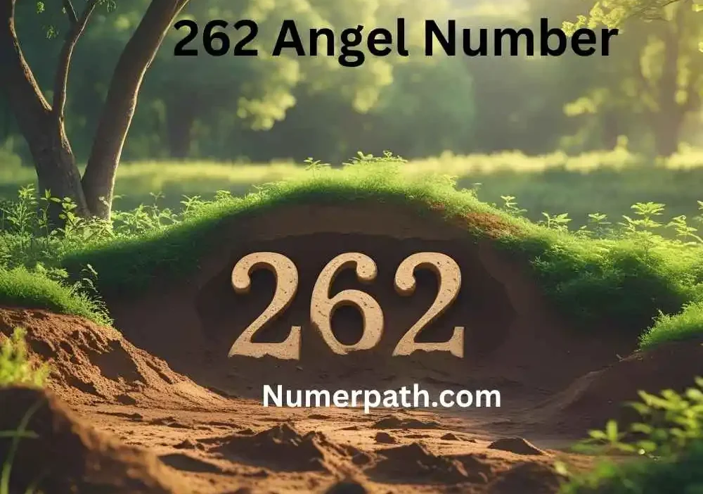 262 Angel Number