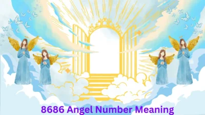 8686 Angel Number Meaning